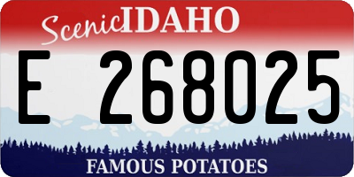 ID license plate E268025