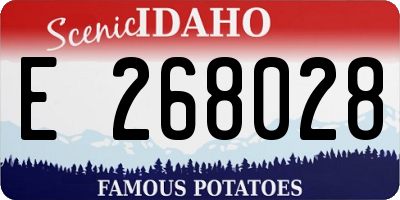 ID license plate E268028