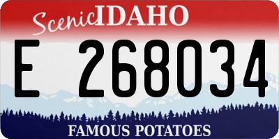 ID license plate E268034