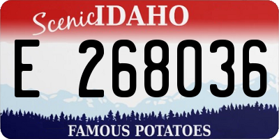 ID license plate E268036