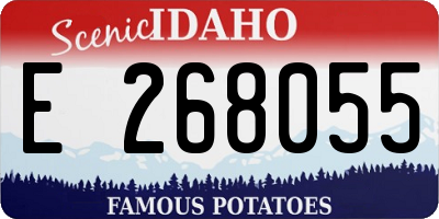 ID license plate E268055