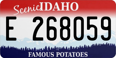 ID license plate E268059