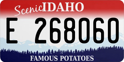 ID license plate E268060