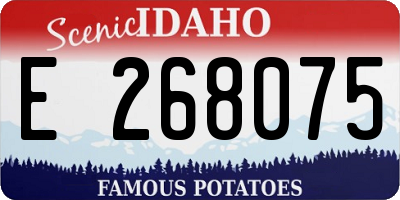ID license plate E268075