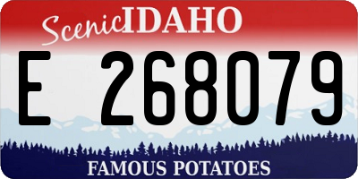 ID license plate E268079