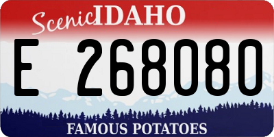 ID license plate E268080