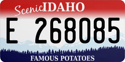 ID license plate E268085