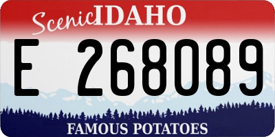 ID license plate E268089