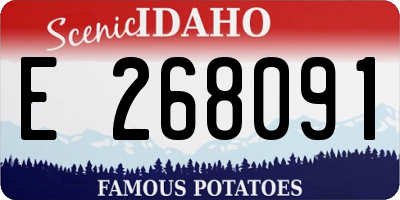 ID license plate E268091