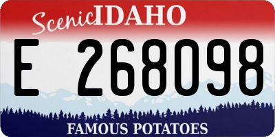 ID license plate E268098