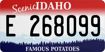 ID license plate E268099