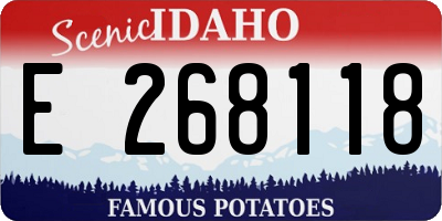 ID license plate E268118