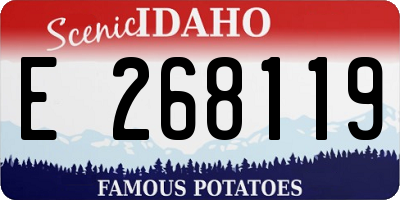 ID license plate E268119
