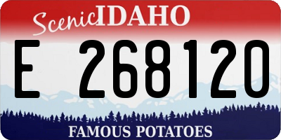 ID license plate E268120