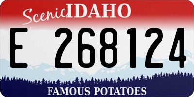 ID license plate E268124