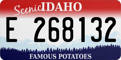 ID license plate E268132