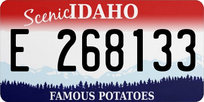 ID license plate E268133