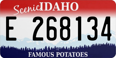 ID license plate E268134