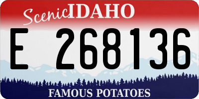 ID license plate E268136