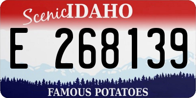 ID license plate E268139