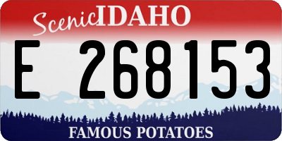 ID license plate E268153