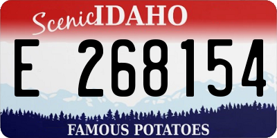 ID license plate E268154