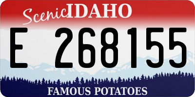 ID license plate E268155