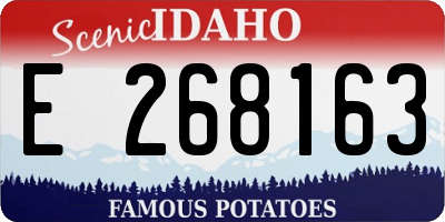 ID license plate E268163