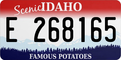 ID license plate E268165