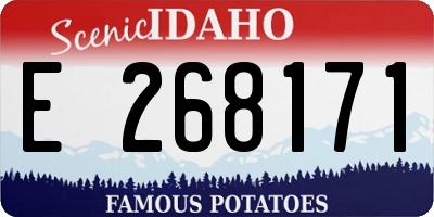 ID license plate E268171