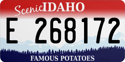 ID license plate E268172