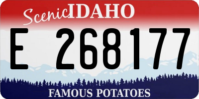 ID license plate E268177
