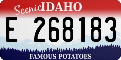 ID license plate E268183