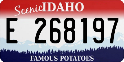 ID license plate E268197