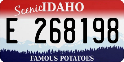 ID license plate E268198