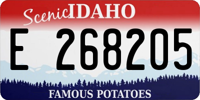 ID license plate E268205
