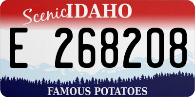 ID license plate E268208