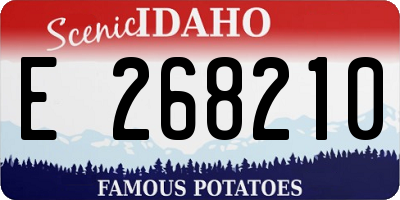 ID license plate E268210