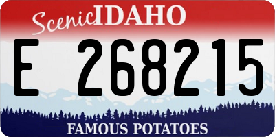 ID license plate E268215