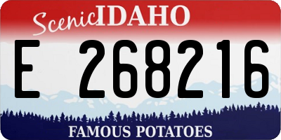 ID license plate E268216