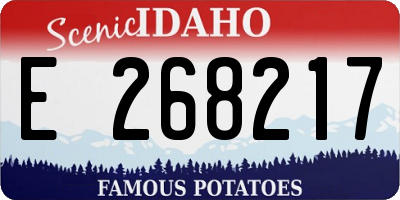 ID license plate E268217