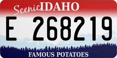 ID license plate E268219