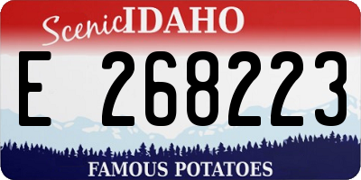 ID license plate E268223