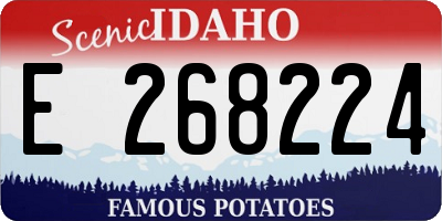 ID license plate E268224