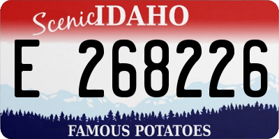 ID license plate E268226