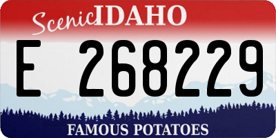 ID license plate E268229
