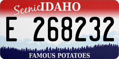 ID license plate E268232