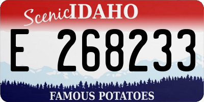 ID license plate E268233