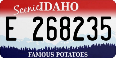 ID license plate E268235