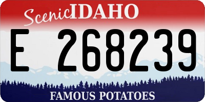 ID license plate E268239